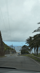 Coastal road traffic captured in Machico, Portugal