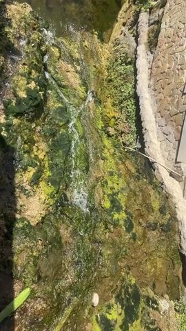 The video shows a close-up, high-angle view of a small waterfall. Water flows down a rocky, moss-covered surface. The rocks appear to be a mix of earthy tones and green hues from the moss and algae. To the right, a wall made of irregular stones and mortar is visible. Sunlight casts shadows on the scene. A green leafy plant is partially visible at the bottom left. The water creates small ripples and splashes as it descends. There are no people or animals visible in the video.