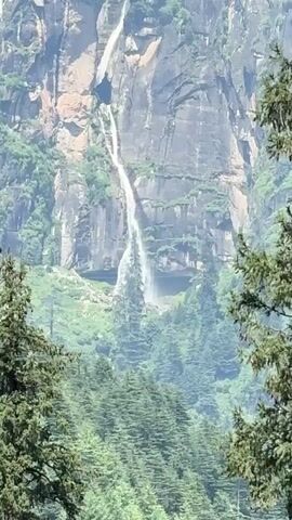The video pans across a scenic mountain landscape featuring a tall, thin waterfall cascading down a rocky cliff face. Lush green pine trees and vegetation fill the foreground and middle ground, with a dense forest covering the lower slopes. The sky above is blue with fluffy white clouds. The camera movement is smooth, capturing the natural beauty of the waterfall and its surrounding environment. There are no people or animals visible in the video. The overall impression is one of a serene and majestic natural setting.