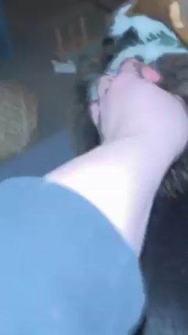 A person pets a tri-color corgi dog. The dog is lying on a gray surface and has a green collar. The person's hand is pale, and the shirt is dark gray. A wooden chair is partially visible in the background. The room is lit with warm light.