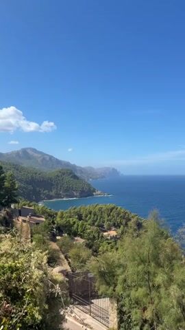 A vertical video shows a scenic view of a rugged, tree-covered coastline with the blue ocean meeting the land under a clear blue sky. In the foreground, there are some green trees and a stone wall with a metal gate. Further back, hills covered with dense green trees rise up from the coastline, with some buildings nestled amongst them. The ocean stretches out to the horizon, with gentle waves visible along the shore. The overall impression is one of natural beauty and tranquility.