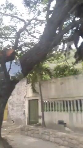 The video shows a street view of an urban environment. In the foreground, a large tree trunk with sparse leaves is visible, leaning to the left. Behind the tree, a yellow gate is partially obscured. Further back, a concrete wall runs horizontally across the frame. To the right of the wall, a modern building with balconies is seen. The street appears to be paved or dirt. The sky is overcast. The camera is in motion, giving a sense of movement through the scene. The video cuts between slightly different perspectives of the same general area, showing more of the buildings and vegetation. Palm trees and other greenery are present. A white tiled fence is also visible. The overall impression is of a residential or mixed-use area in a tropical or subtropical climate.