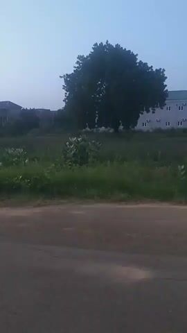 The video shows an outdoor scene with a paved road in the foreground. Beyond the road is a grassy area with some bushes and a large tree. In the background, there are buildings. The sky is overcast, suggesting it is either early morning or late evening. There are no people or animals visible in the video. The overall impression is one of a quiet, undeveloped area.