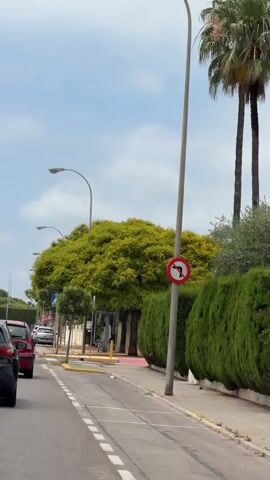 A car is driving along a tree-lined street with parked cars on the left and a pedestrian crossing on the right. The sky is partly cloudy.