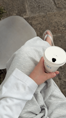 Morning coffee run in Santiago, seagulls included