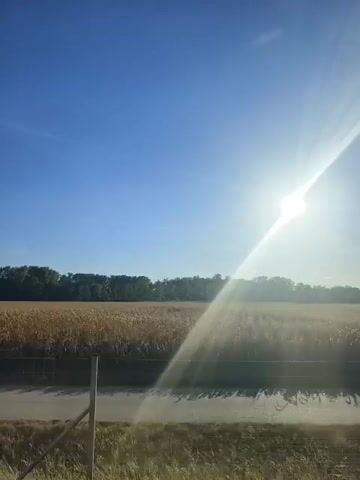 The video opens with a bright blue sky and a strong sun illuminating a field of corn. In the foreground, a sprinkler system is visible, with water spraying across a dirt path. A line of trees borders the cornfield in the distance. The sun's rays create a lens flare effect across the scene, and the overall impression is of a clear, sunny day in a rural agricultural setting.