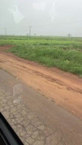 The video shows a view from a vehicle moving along a dirt and paved road. The road is wet, indicating recent rain. To the right of the road is a field of green grass and scattered trees under a hazy sky. Several utility poles are visible in the distance. A motorcycle with a rider passes by on the road in the foreground at the end of the clip. The overall environment appears rural and possibly overcast or rainy.