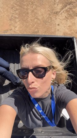 Woman with badge stands in pickup truck bed in Morocco