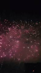 Fireworks fill the night sky over Da Nang