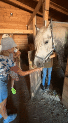 Afternoon at a Pavlovsk farm with horses, goats, and reindeer