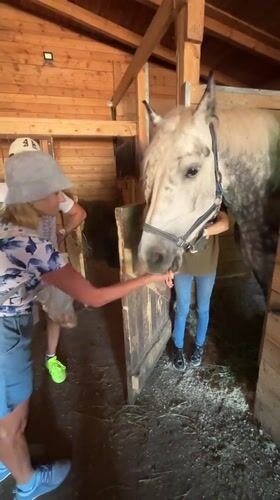 Afternoon at a Pavlovsk farm with horses, goats, and reindeer