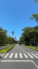 Palm-lined roads captured in Kuta Selatan and Nusa Dua