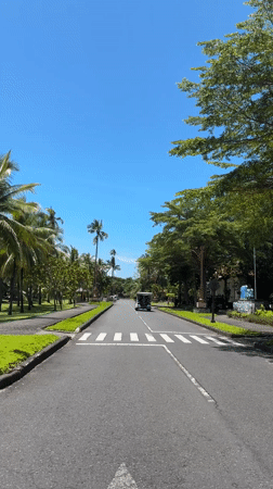 Palm-lined roads captured in Kuta Selatan and Nusa Dua