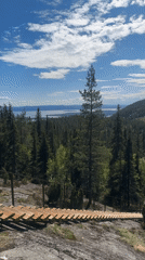 Hiker crosses wooden pathway through Russian forest near Kandalaksha