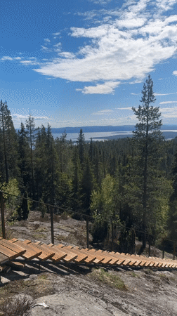 Hiker crosses wooden pathway through Russian forest near Kandalaksha