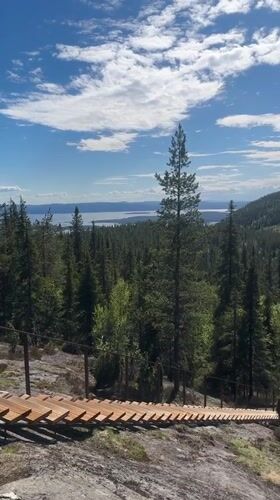 Hiker crosses wooden pathway through Russian forest near Kandalaksha