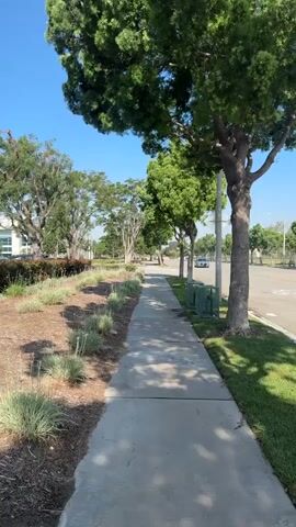 This is a video of a sidewalk alongside a landscaped area and a street. The landscaping features a berm covered in mulch, with various ornamental grasses and some small flowering plants. Behind the landscaping, there are hedges and mature trees with full green canopies.

In the background, there are several modern, white industrial or office buildings. One building has the number "10730" clearly visible on its side, along with a logo. A street runs parallel to the sidewalk, with a car visible in the distance. The sun is shining brightly, casting dappled shadows across the sidewalk and the landscaped area, indicating it is daytime. The sky is clear and blue, suggesting good weather. The scene appears to be in an urban or suburban setting, possibly a business park or industrial area. There are no people visible in the video. The overall mood is calm and serene, with a focus on the natural elements of the landscaping and trees contrasting with the man-made structures.