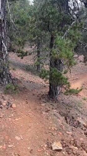 Troodos, Cyprus