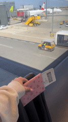 Traveler documents two-hour journey through Vienna International Airport