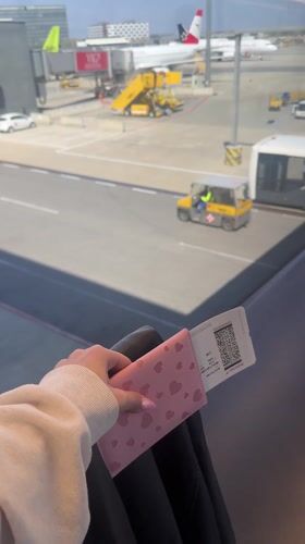 Traveler documents two-hour journey through Vienna International Airport