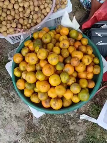 The video shows a close-up view of various fruits displayed outdoors, likely at a market. In the foreground, a large green bowl is filled with numerous small, round fruits that are predominantly orange and yellow, with some appearing green. These fruits have blemishes and some stem remnants. To the left of the bowl, another container holds a pile of small, oval-shaped, light brown fruits. In the background, a person wearing a colorful patterned garment is partially visible, along with a dark bag and red and white bags. The ground beneath the fruits appears to be covered in grass and dirt. The lighting suggests it is daytime. The audio consists of unintelligible speech.