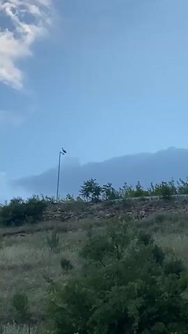 A static shot of a small, dark bird perched on a tall street light, overlooking a grassy hill dotted with small green trees. The sky is filled with light gray clouds. A second street light is visible to the right of the first.