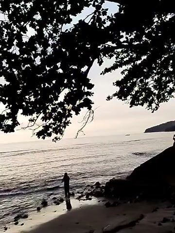 A lone person stands on a rocky, sandy beach, silhouetted against the ocean and sky. Overhanging tree branches create a dark, leafy canopy in the foreground, obscuring much of the scene from view. The water is calm, with gentle waves lapping at the shore. The sky is overcast, suggesting either dawn or dusk. The overall mood is peaceful and contemplative.