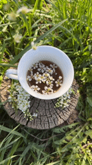 Spring morning tea and mushroom foraging in rural Russia