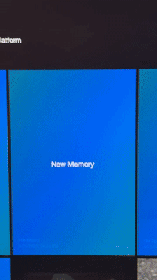 Memory