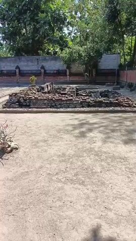 The video shows an outdoor historical site with crumbling brick structures under a bright blue sky. The ground is predominantly dirt and gravel. In the foreground, a small, dry, gnarled plant with a few pink flowers is visible. Behind it, rows of gravel paths run alongside rectangular brick foundations, suggesting ancient building outlines. Further back, more extensive brick ruins are present, one of which is partially covered by a wooden-roofed shelter. A stone or concrete wall with decorative brickwork forms a boundary in the background, with lush green trees and foliage beyond. Several buildings, including a white multi-story structure, are visible in the distance. The camera pans across the scene, offering different perspectives of the archaeological remains and the surrounding environment.
