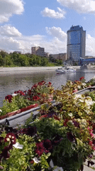 Moscow riverside district captures casual summer afternoon moments