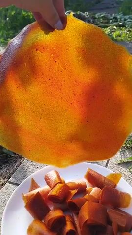 A hand holds up a large, translucent, bright orange fruit leather that is slightly crinkled and uneven around the edges. Below the fruit leather, on a white plate, are numerous smaller pieces of fruit leather that have been rolled or folded into short, cylindrical shapes. The background appears to be an outdoor setting with greenery and sunlight filtering through.