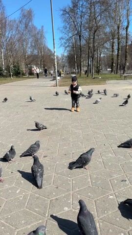 A small child in a black hat, black vest, gray pants, and yellow boots is standing on a brick-paved surface, surrounded by pigeons. The child is holding a piece of bread and eating it. The child then begins to run and the pigeons take flight. The background shows a park-like setting with bare trees, a street lamp, and distant buildings under a clear blue sky. Other people can be seen walking in the background. Cars are visible in the distance as well.