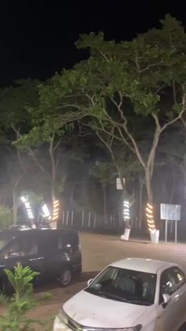 The video shows a nighttime scene in what appears to be a parking lot or outdoor area. Several trees with green leaves are visible in the background, illuminated by lights. Some of the trees are decorated with strings of lights in a spiral pattern, alternating between white and yellow. There are at least two cars in the foreground. A white sedan is parked in the lower center of the frame, and a darker colored SUV or van is to its left. The lighting is dim, suggesting it is dark outside, and there is some haze or fog in the air, contributing to the atmospheric glow of the lights.