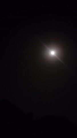 The video depicts a dark night scene with the moon prominently featured. The moon is a bright, round object in the upper center of the frame. It appears to have a slight halo or light diffusion around it, potentially due to atmospheric conditions.  The rest of the scene is nearly black, suggesting a very dark environment. There are hints of a dark, indistinct shape at the very bottom of the frame, possibly foliage or the silhouette of trees. The video is static, with no apparent movement or change in the scene.
