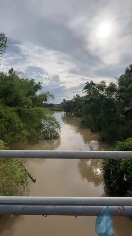 A static video captures a wide, muddy brown river flowing through a lush green landscape under a partly cloudy sky. The river occupies the central portion of the frame, with dense green trees and vegetation lining both banks. On the left bank, a variety of trees and bushes are visible, with some submerged branches in the water. The right bank is also heavily vegetated, including several palm trees further downriver. The sky above the treeline features a mix of white clouds and patches of blue, with a bright, hazy sun positioned in the upper right. A metal bridge railing, consisting of two horizontal bars, spans the lower third of the frame. A light blue plastic bag is seen hanging from the bottom right of the railing. No people or animals are present.