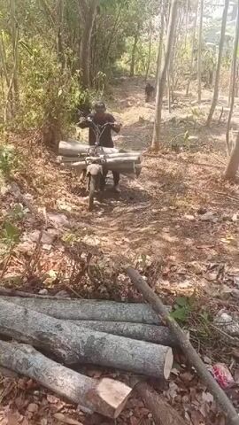 A man is riding a motorcycle loaded with logs through a wooded area. He is wearing a dark shirt and pants and a hat. The motorcycle is traveling on a dirt path. There are trees on either side of the path. In the foreground, there are more logs on the ground.