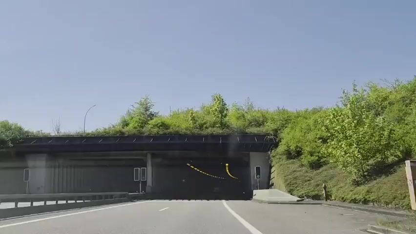 A car drives into a tunnel covered with greenery. The tunnel is illuminated by rows of bright yellow lights and has two lanes. Another car is visible further inside the tunnel.  Music plays in the background.