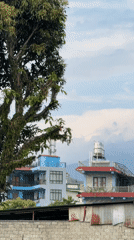Morning scenes: dogs, coffee, hang gliding in cloudy Pokhara