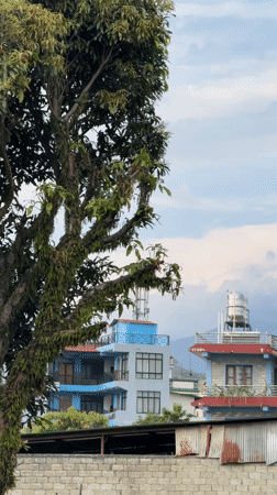 Morning scenes: dogs, coffee, hang gliding in cloudy Pokhara