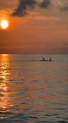 Ocean sunset witnessed by multiple observers in Xiangzhou, China