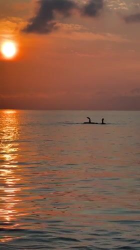 Ocean sunset witnessed by multiple observers in Xiangzhou, China