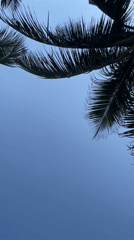 Beach scenes captured in Đà Nẵng with sunbathing and paddleboards