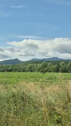 A scenic view of rolling green hills and mountains under a blue sky with scattered clouds. Tall grass and foliage are in the foreground, swaying gently. The camera appears to be moving, possibly from a vehicle, as the landscape shifts.
