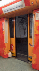 Ornately decorated subway train spotted at station platform