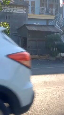 The video shows a street scene in what appears to be a rural or suburban area. In the foreground, a gravel road is visible, with shadows from trees cast across it. In the background, there is a small, dilapidated structure with a corrugated metal roof, possibly a shed or a makeshift shop, situated in front of a more substantial building. The larger building has multiple windows and balconies, and flags are visible on a pole. To the left of the small structure, there is greenery, including trees and bushes. To the right, there is a well-maintained shrub and a tree. A portion of a dark-colored vehicle, possibly a car or van, passes by in the middle ground, its windows tinted. The overall impression is one of a somewhat unkempt but lived-in environment, with a contrast between the old structure and the newer building. The lighting suggests it is daytime, possibly morning or late afternoon due to the angle of the shadows.