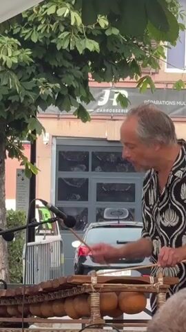 A man with graying hair and a patterned shirt is playing a xylophone-like instrument outdoors. He is holding two mallets and striking the wooden bars of the instrument. A microphone is positioned in front of the instrument. Behind him, there is a building with a large garage door and a car parked in front of it. Trees with green leaves are visible above the scene. The lighting suggests it is daytime.