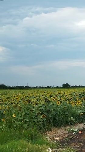 Dobra, Romania