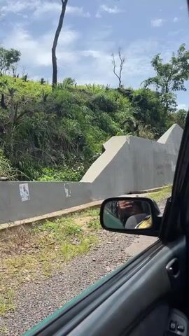 The video shows a view from inside a car, looking out the passenger side window. The car is driving on a rough, unpaved road with gravel and potholes. To the left of the road, there is a steep, vegetated hill with a concrete retaining wall at its base. The wall has some graffiti on it, including what appears to be "APR 2023" and some other illegible text. The car's side mirror is visible, reflecting the interior of the car and a person's arm. The sky is cloudy. The road ahead curves to the right, and more trees and vegetation are visible on the right side of the road.