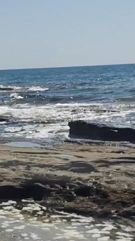 The video shows a rocky shoreline with waves lapping against the rocks. The water is a deep blue and the sky is clear and light blue. There are several flat rocks in the foreground that are partially submerged in the water. In the background, there are more rocks protruding from the water, and the ocean stretches out to the horizon. The sun appears to be shining, casting a bright light on the scene.
